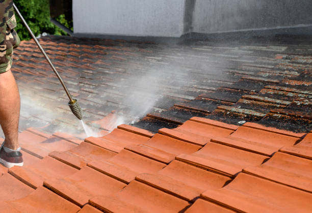 Best Garage Pressure Washing  in Cynthiana, KY