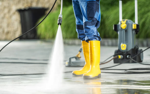 Best Roof Pressure Washing  in Cynthiana, KY