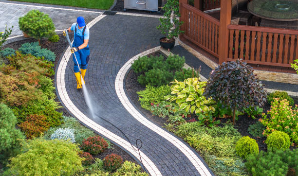 Best House Pressure Washing  in Cynthiana, KY
