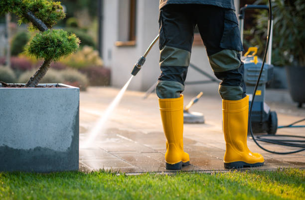 Best Deck Pressure Washing  in Cynthiana, KY